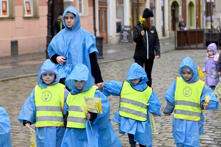 Żółty marsz żonkili z Pola Nadziei przeszedł przez Świdnicę