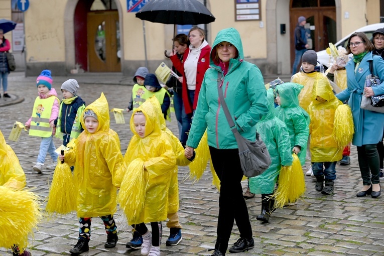 Żółty marsz żonkili z Pola Nadziei przeszedł przez Świdnicę
