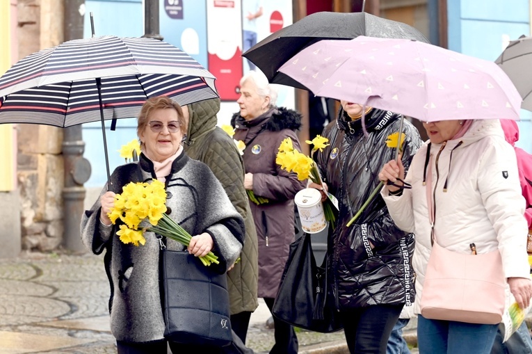 Żółty marsz żonkili z Pola Nadziei przeszedł przez Świdnicę