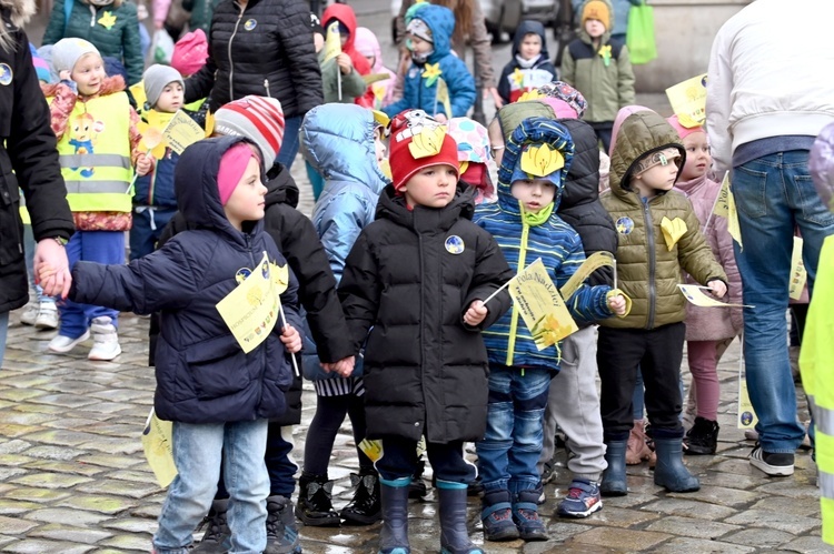 Żółty marsz żonkili z Pola Nadziei przeszedł przez Świdnicę