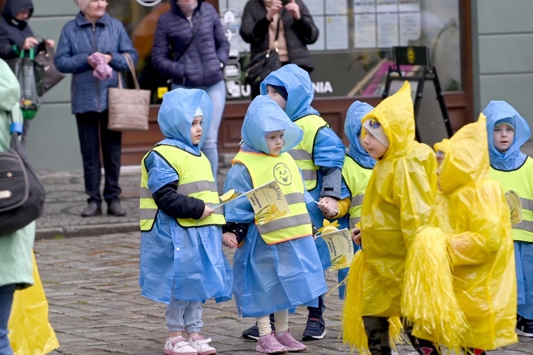Żółty marsz żonkili z Pola Nadziei przeszedł przez Świdnicę