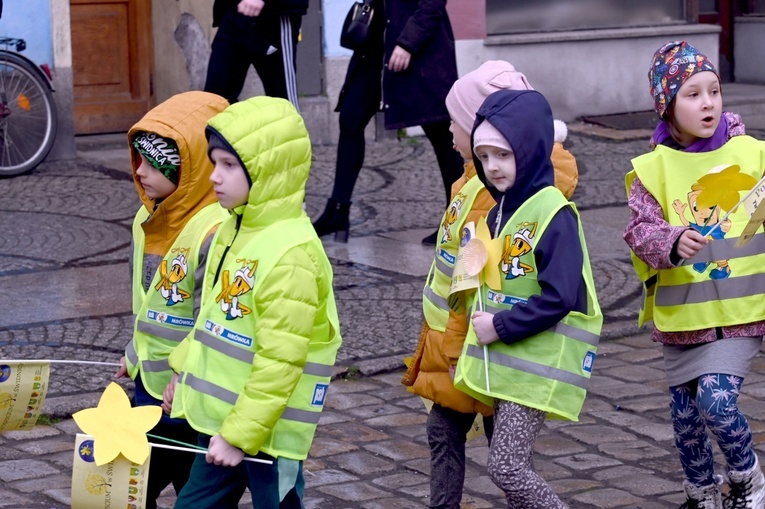 Żółty marsz żonkili z Pola Nadziei przeszedł przez Świdnicę