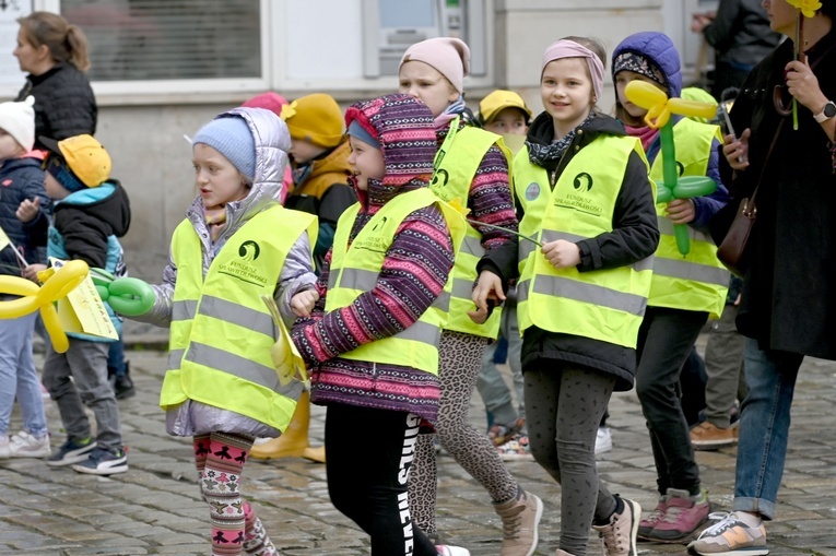 Żółty marsz żonkili z Pola Nadziei przeszedł przez Świdnicę