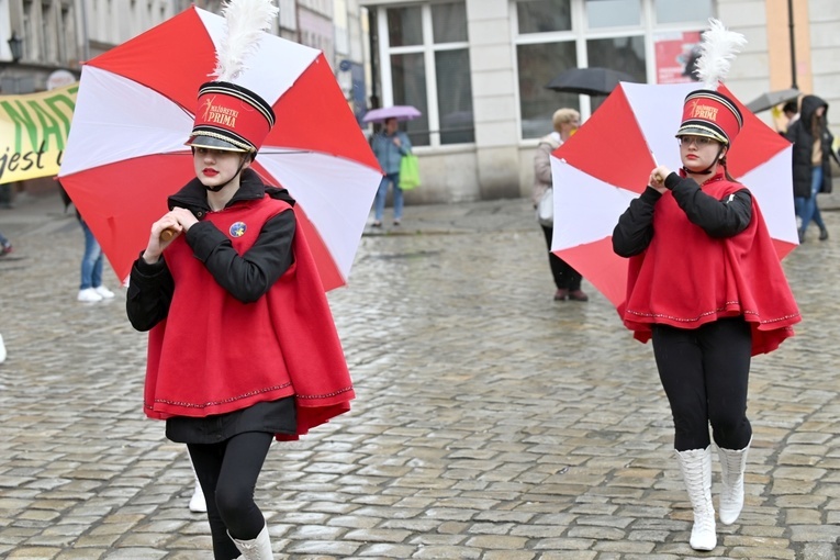 Żółty marsz żonkili z Pola Nadziei przeszedł przez Świdnicę