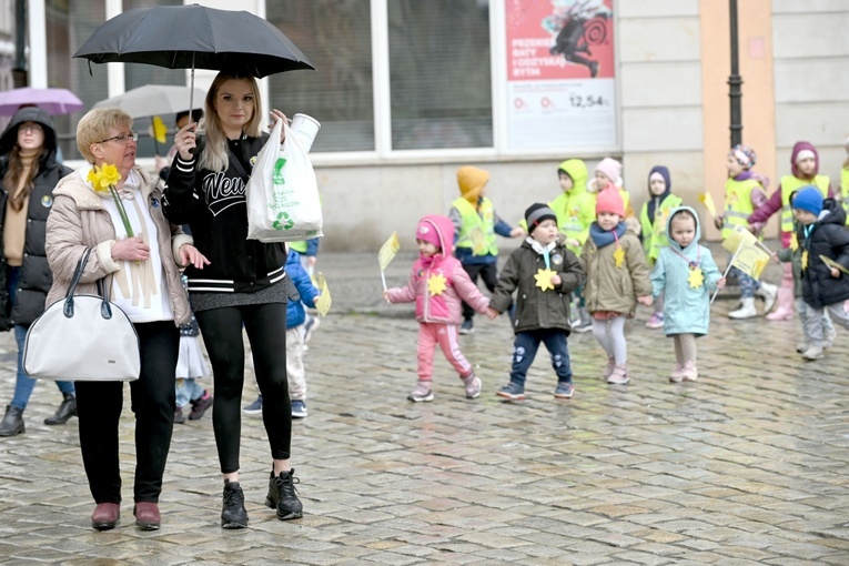 Żółty marsz żonkili z Pola Nadziei przeszedł przez Świdnicę