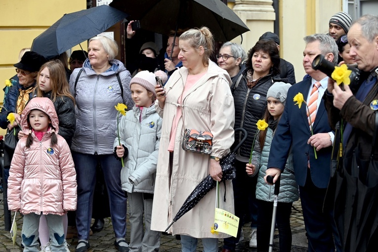 Żółty marsz żonkili z Pola Nadziei przeszedł przez Świdnicę