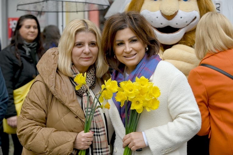 Żółty marsz żonkili z Pola Nadziei przeszedł przez Świdnicę