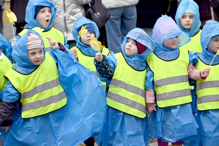 Żółty marsz żonkili z Pola Nadziei przeszedł przez Świdnicę
