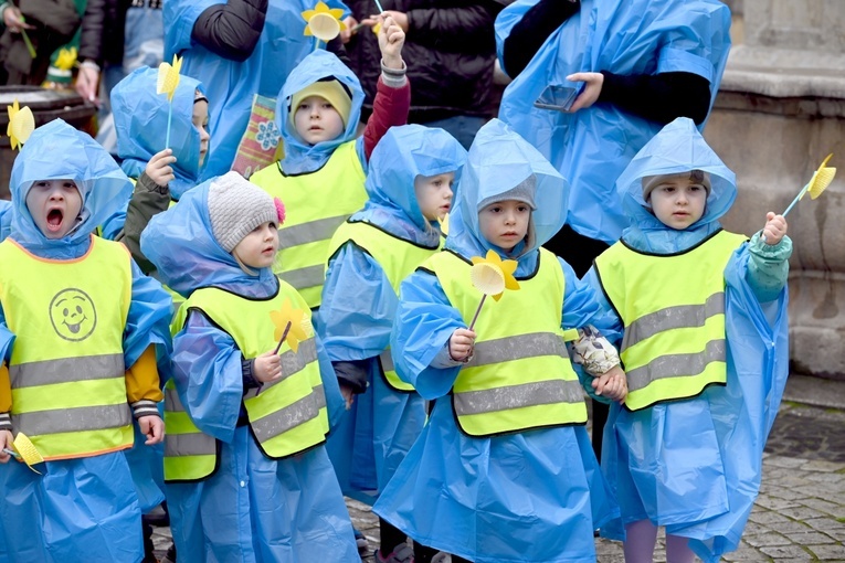 Żółty marsz żonkili z Pola Nadziei przeszedł przez Świdnicę