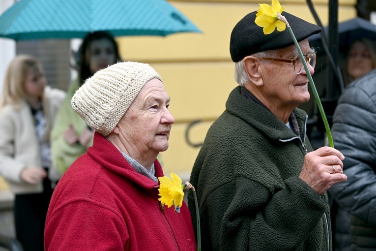 Żółty marsz żonkili z Pola Nadziei przeszedł przez Świdnicę