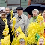 Żółty marsz żonkili z Pola Nadziei przeszedł przez Świdnicę