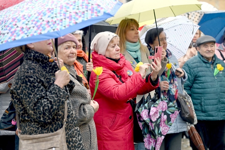 Żółty marsz żonkili z Pola Nadziei przeszedł przez Świdnicę