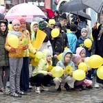 Żółty marsz żonkili z Pola Nadziei przeszedł przez Świdnicę