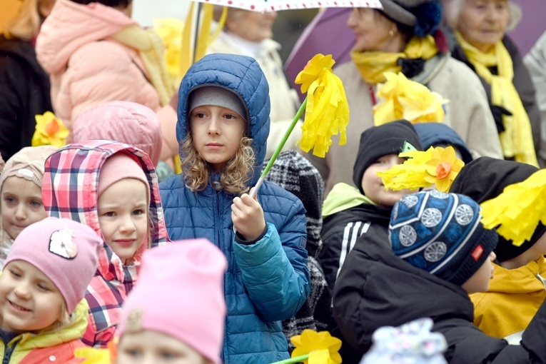 Żółty marsz żonkili z Pola Nadziei przeszedł przez Świdnicę