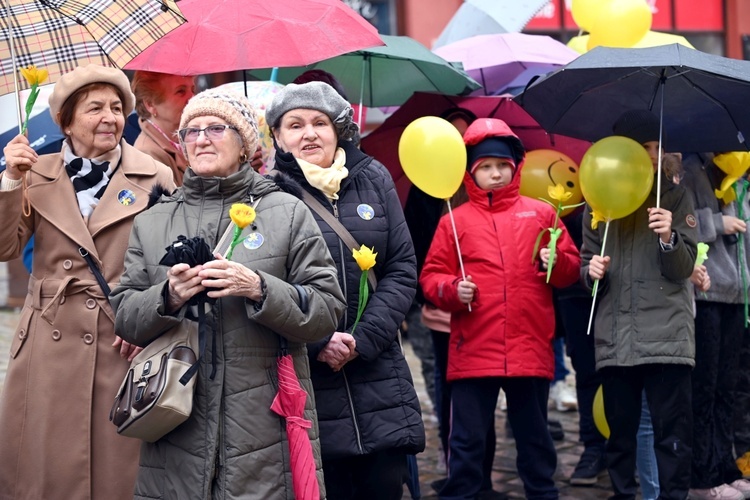 Żółty marsz żonkili z Pola Nadziei przeszedł przez Świdnicę