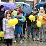 Żółty marsz żonkili z Pola Nadziei przeszedł przez Świdnicę