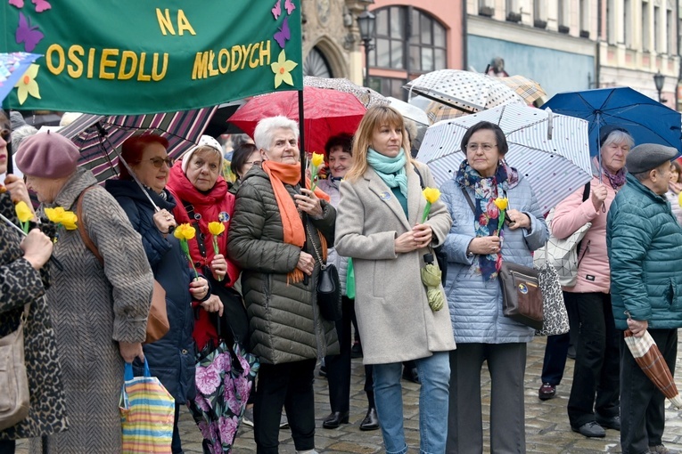 Żółty marsz żonkili z Pola Nadziei przeszedł przez Świdnicę