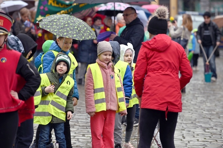 Żółty marsz żonkili z Pola Nadziei przeszedł przez Świdnicę