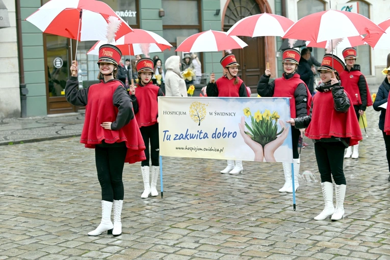 Żółty marsz żonkili z Pola Nadziei przeszedł przez Świdnicę