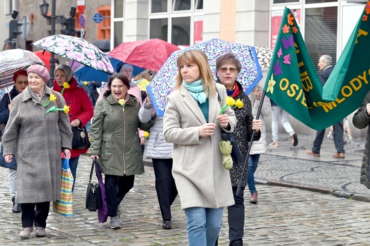 Żółty marsz żonkili z Pola Nadziei przeszedł przez Świdnicę