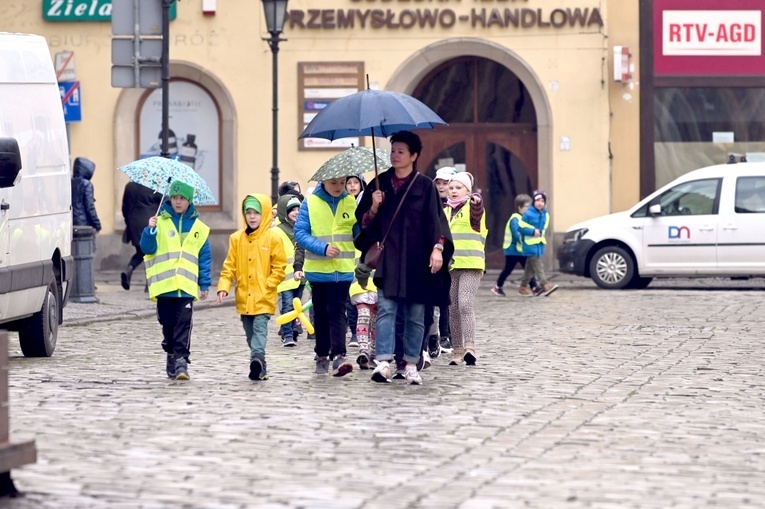 Żółty marsz żonkili z Pola Nadziei przeszedł przez Świdnicę