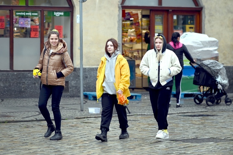 Żółty marsz żonkili z Pola Nadziei przeszedł przez Świdnicę