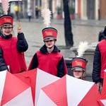 Żółty marsz żonkili z Pola Nadziei przeszedł przez Świdnicę