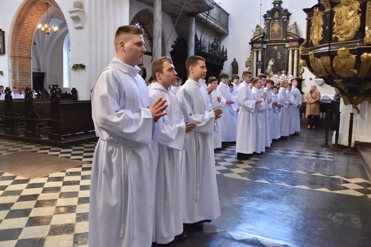Wprowadzeni w posługę lektora