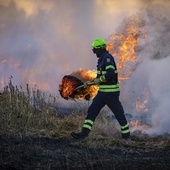 Region. Wypalanie traw to przestępstwo - apel śląskich strażaków