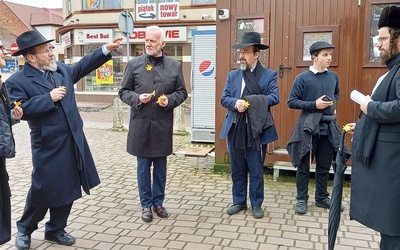 Żonkile dla niespodziewanych gości