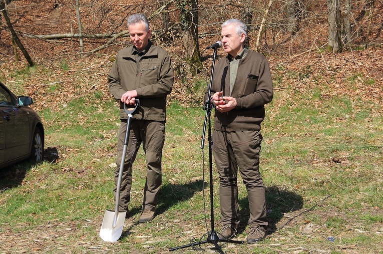 Sadzenie lasu w Wietrznie