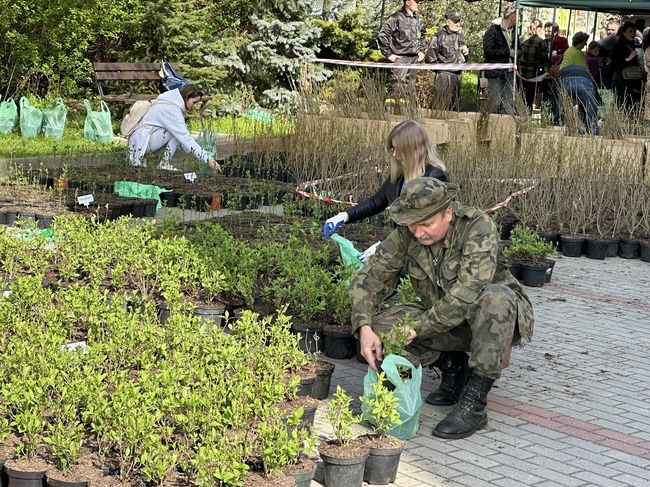 Powiat przygotował około 8 tys. drzewek i sadzonek.
