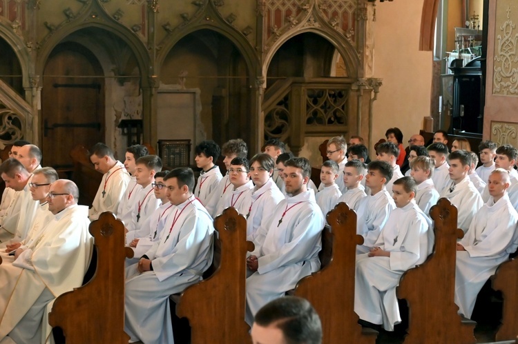 Promocja ceremoniarzy i lektorów w świdnickiej katedrze 