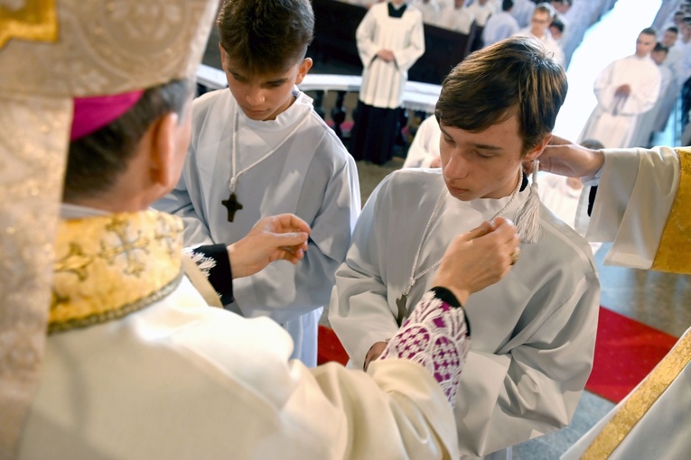 Promocja ceremoniarzy i lektorów w świdnickiej katedrze 