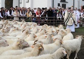 W Ludźmierzu bacowie i juhasi zainaugurowali sezon pasterski