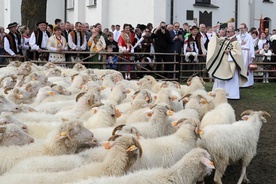 W Ludźmierzu bacowie i juhasi zainaugurowali sezon pasterski