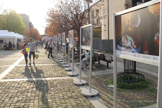 Katowice. Dzień Dobra - Caritas Archidiecezji Katowickiej