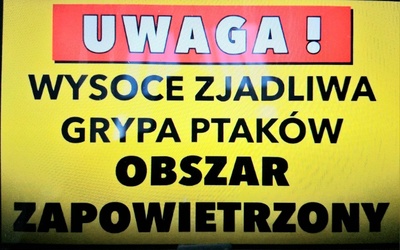 Śląskie. Powiaty raciborski, rybnicki i wodzisławski obszarami zagrożonymi wysoce zjadliwą grypą ptaków