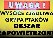 Śląskie. Powiaty raciborski, rybnicki i wodzisławski obszarami zagrożonymi wysoce zjadliwą grypą ptaków