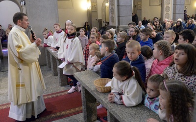 Niedziela seminaryjna w diecezji radomskiej