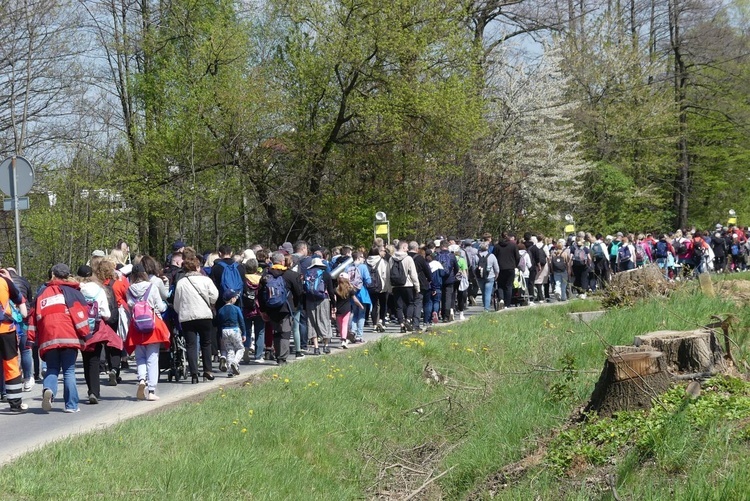 Grupa św. Faustyny - 2023