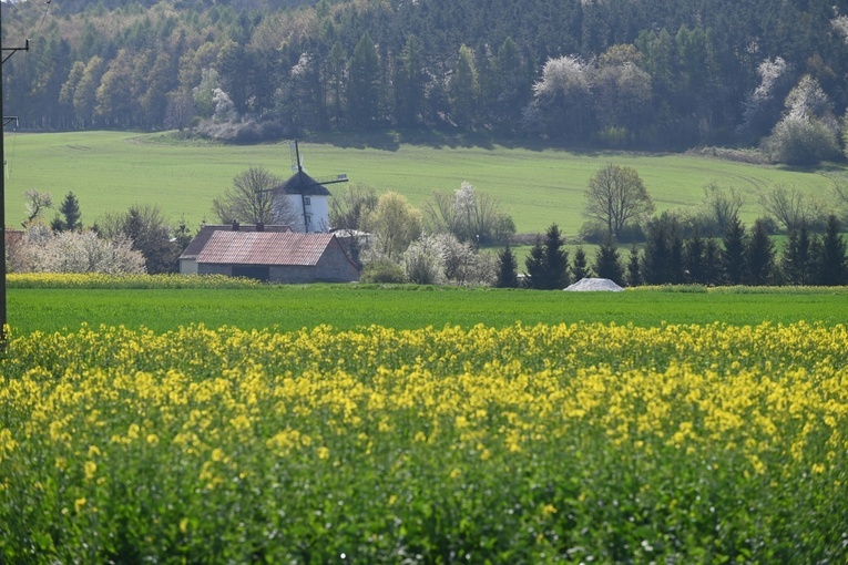 Pielgrzymka do Sulistrowiczek 2023