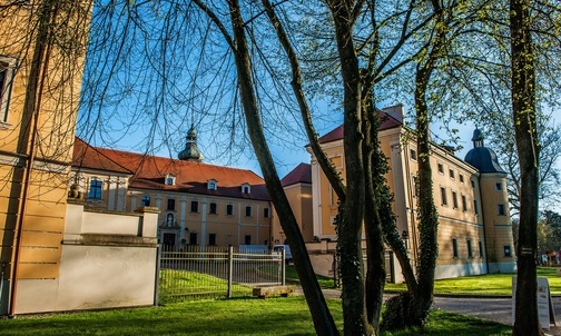 Rudy. Niezwykła droga odbudowy