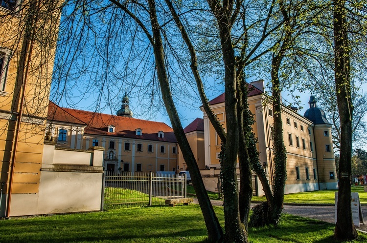 Rudy. Niezwykła droga odbudowy