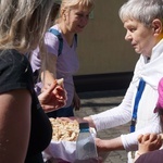 10. Piesza Pielgrzymka Szensztacka do sanktuarium w Rokitnicy