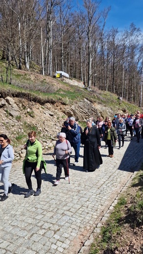 Bystrzyca Kłodzka poszła na Górę Igliczną