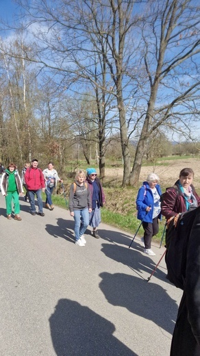 Bystrzyca Kłodzka poszła na Górę Igliczną