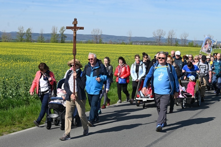 Pielgrzymi w drodze ze Świdnicy do Gogołowa.