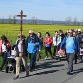 Pielgrzymi w drodze ze Świdnicy do Gogołowa.