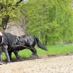 Majowy piknik w radomskim skansenie